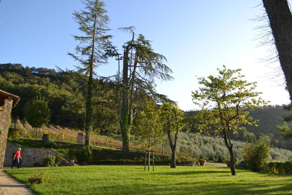 Agriturismo Lapone Orvieto Eksteriør billede